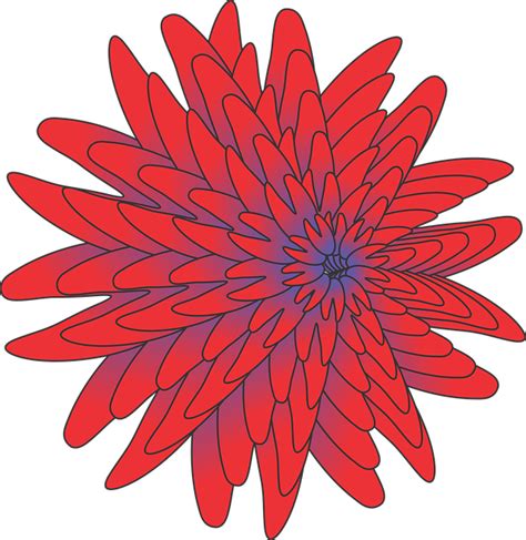 Download Flower Petals Bloom Royalty Free Stock Illustration Image