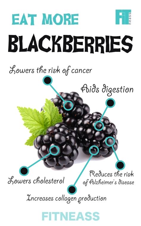 The Surprising Health Benefits Of Berries Infographic Fitneass