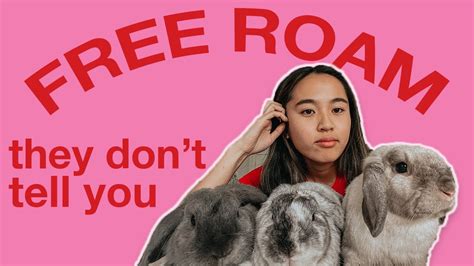 FREE ROAMING The Reality Of Free Roam Rabbits YouTube
