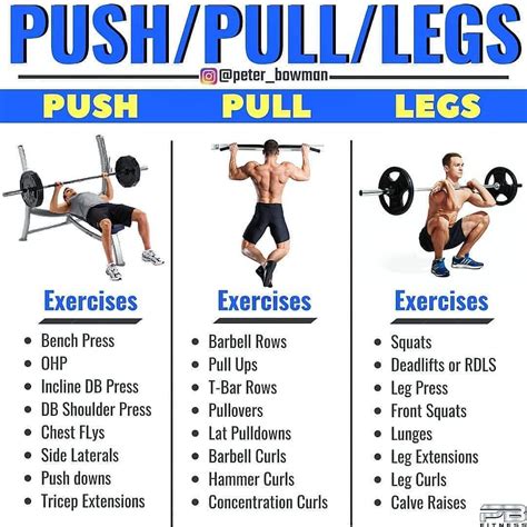 Different Workout For Yours 1 Chest 2 Back 3 Legs For More Content