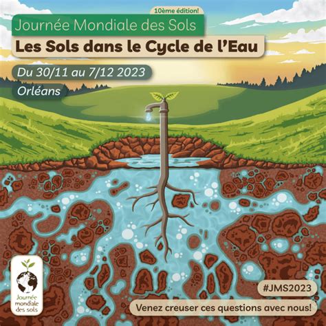 les sols dans le cycle de l eau journée mondiale des sols 2023 dream eau and milieux