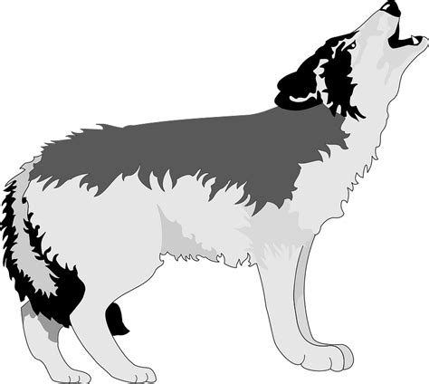 Wolf Howling At The Moon Clipart Free Download Transparent Png