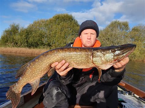 Dutch Pike Anglers Catch Large Pike At Melview Fishing Lodge Fishing