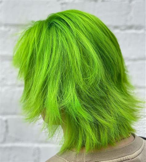 Beeltejuice Inspired Hair Color Green Hair Haircolor Lime Green Long