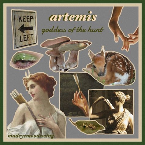 Artemis Aesthetic Hunter Of Artemis Snack Bar Gods And Goddesses