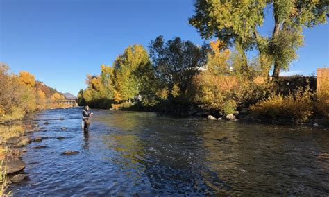 5 Tips For Fly Fishing In Steamboat Steamboat Lodging Company