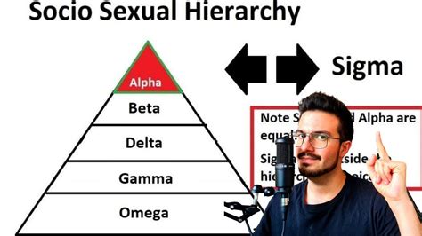 Sociosexual Hierarchy From Alpha To Omega What Is Your Socio Sexual