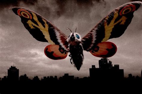 Mothra Coming In Special Edition Blu Ray Release