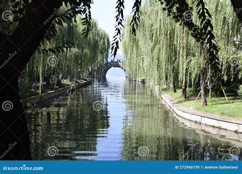 Bridge At The Edge Of The West Lake With Trees Over Hangzhou Zhejiang