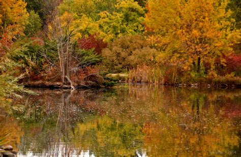 The Best Times And Places To See Fall Foliage In Idaho 2017