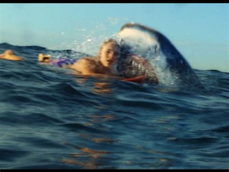 Shark Attack On Soul Surfer Soul Surfer Surfer Surfing