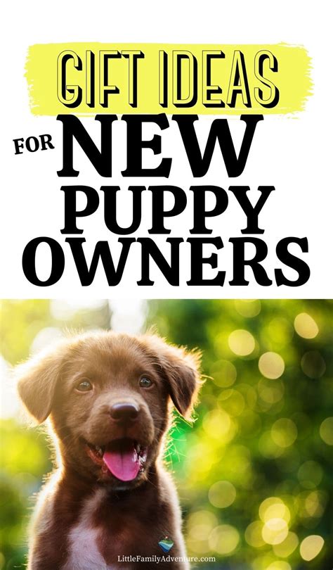 19 Essential Ts For New Puppy Owners That Any Dog Would Love