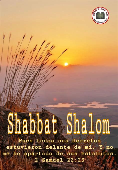 Pin En Shabbat Shalom