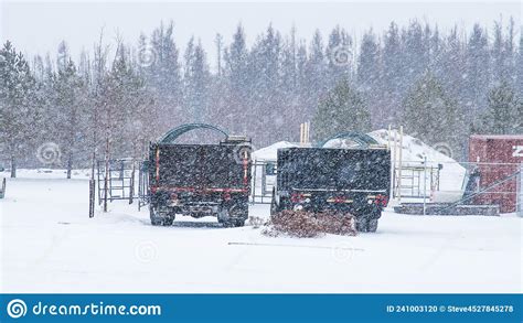 Large Trucks Parked On A Snowy Day Stock Photo Image Of Parked Snowy