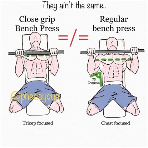 Seeking Out More About Bench Press Anatomy Then Read On Barbellbenchpress Chest Workouts