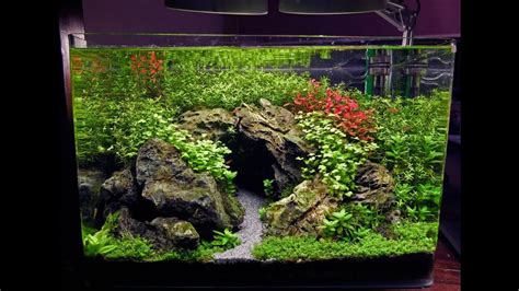 Making Caves In Aquariums 1000 Aquarium Ideas