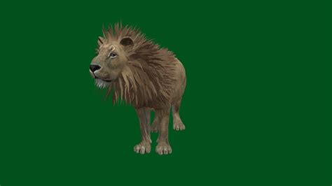 Lion Non Commercial 3d Model By Nyilonelycompany 5068fc2 Sketchfab