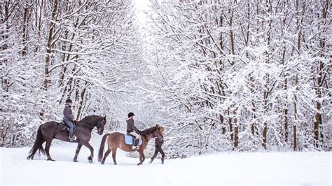 Horse Riding In The Snow By Frank Hazebroek 500px