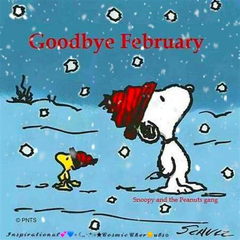 Good Bye February Video Snoopy Happy Dance Snoopy Christmas