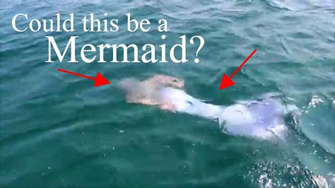 Mermaids In Lake Michigan Traverse City Mermaid Sighting Found By A