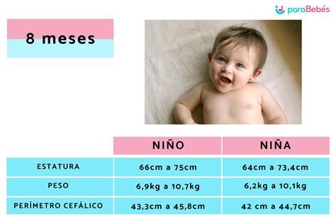 Cuánto debe pesar un bebé de meses Factores que influyen en el peso