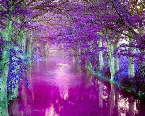 Fantastic Colors Purple Love All Things Purple Shades Of Purple