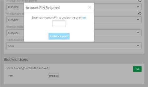 What Is A Roblox Account Pin