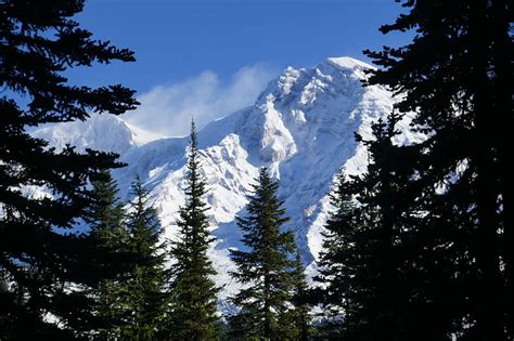 Mountains Trees Spruce Branches Snow Snowy Hd Wallpaper Peakpx