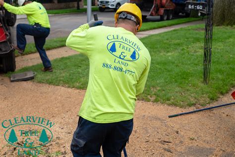 Our Tree Care Photo Gallery Clearview Tree And Land Corp