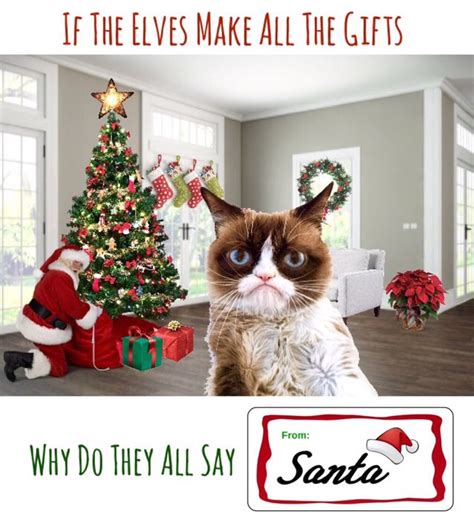 Grumpy Cat Christmas Why Do All The Ts Say From Santa