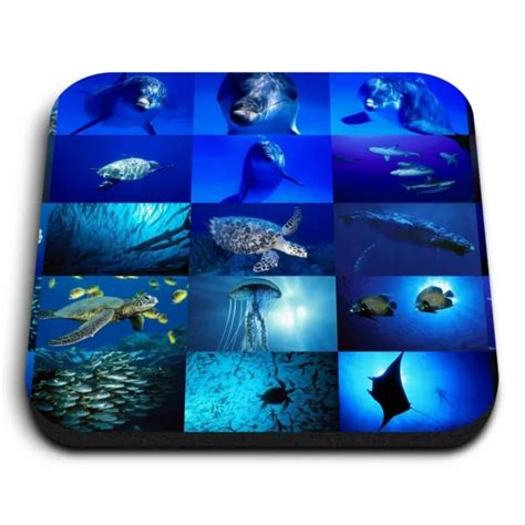 Square Mdf Magnets Marine Life Collage Ocean Dive Diver 8936 511
