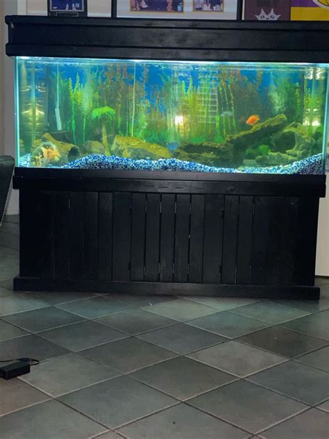 210 Gallon Fish Tank For Sale In Peoria Az Offerup
