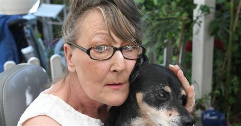 Woman Battled With Pit Bulls That Threw Her Off Mobility Scooter And
