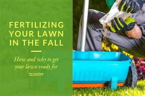 When Should I Fertilize My Lawn In The Spring