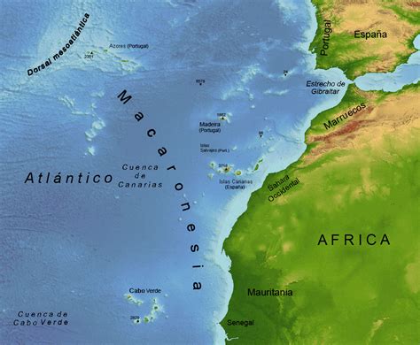 Schüler Cabrio Th A Que Continente Pertenecen Las Islas Canarias