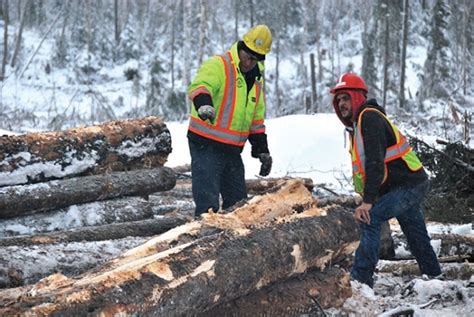 Top 10 Canadian Forest Industries Stories Of 2018 Wood Business