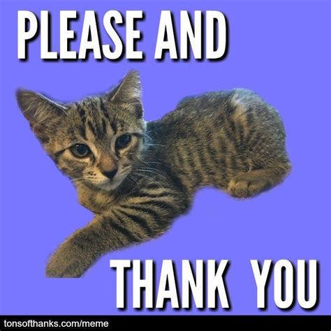 51 Nice Thank You Memes With Cats Thank You Memes Thank You Cat Meme
