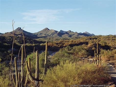 Arizona Desert Scenes Wallpaper Wallpapersafari