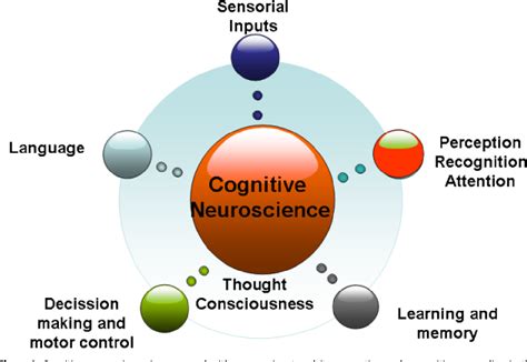 Figure 1 From Why We Need Quantum Physics For Cognitive Neuroscience