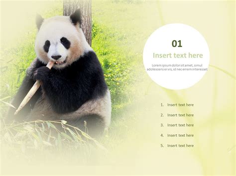 Free Ppt Template A Lovely Panda