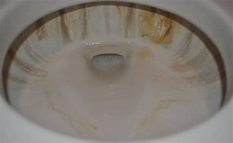 How To Remove Toilet Stains Brown A Blog To Home