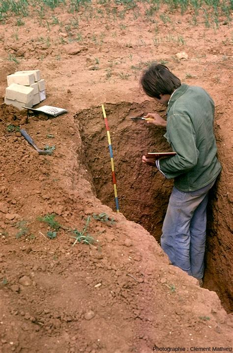 Le sol l épiderme vivant de notre planète Planet Terre