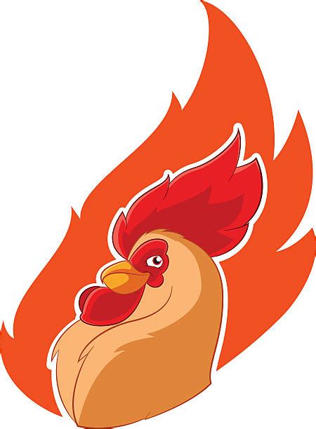 Best Angry Rooster Illustrations Royalty Free Vector Graphics And Clip