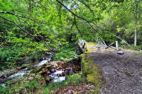 Bosque De Muniellos Paraiso Natural Asturias España Turismo Rural