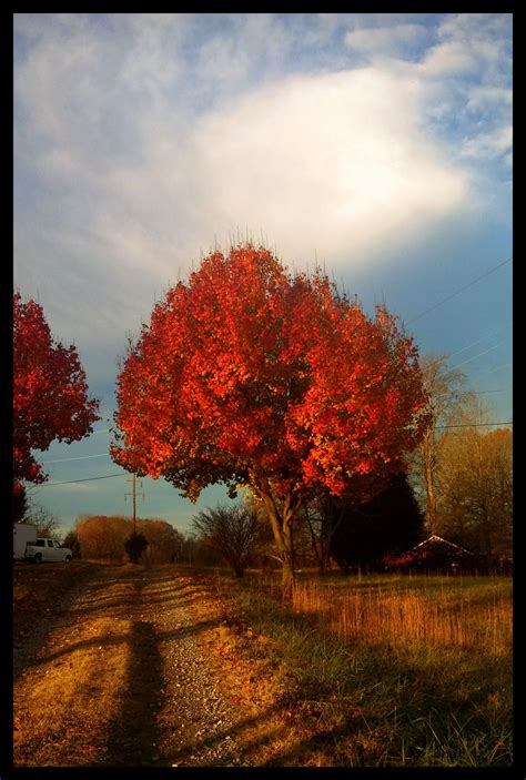 Tennessee autumn morning Autumn Morning, Tennessee, Breeze, Country