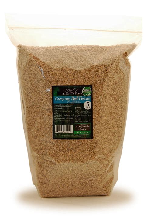 Creeping Red Fescue Seed By Eretz 5lb Choose Size Willamette