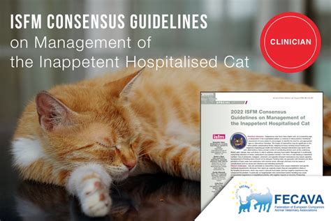 2022 Isfm Consensus Guidelines On Management Of The Inappetent