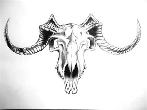 Goat Skull Tattoo Design Goat Skull Animal Skull Tattoos Skull
