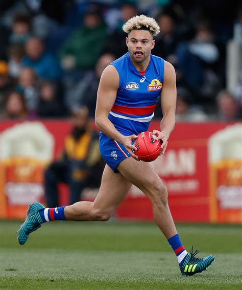 Explore bulldogs wallpapers on wallpapersafari | find more items about georgia bulldogs wallpaper, french the great collection of bulldogs wallpapers for desktop, laptop and mobiles. Season Review: Jason Johannisen