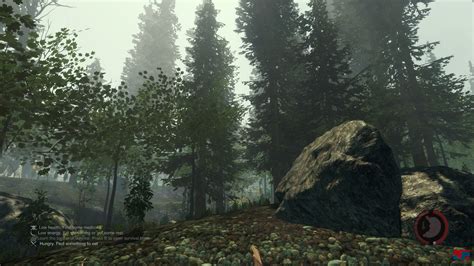 The forest is a typical survivor, in which players are invited to go on a journey through a mysterious island in the role of a father looking for his son. The Forest Free Download - CroHasIt - Download PC Games For Free